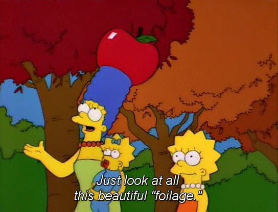 Maackia 037: I’m just a gardener